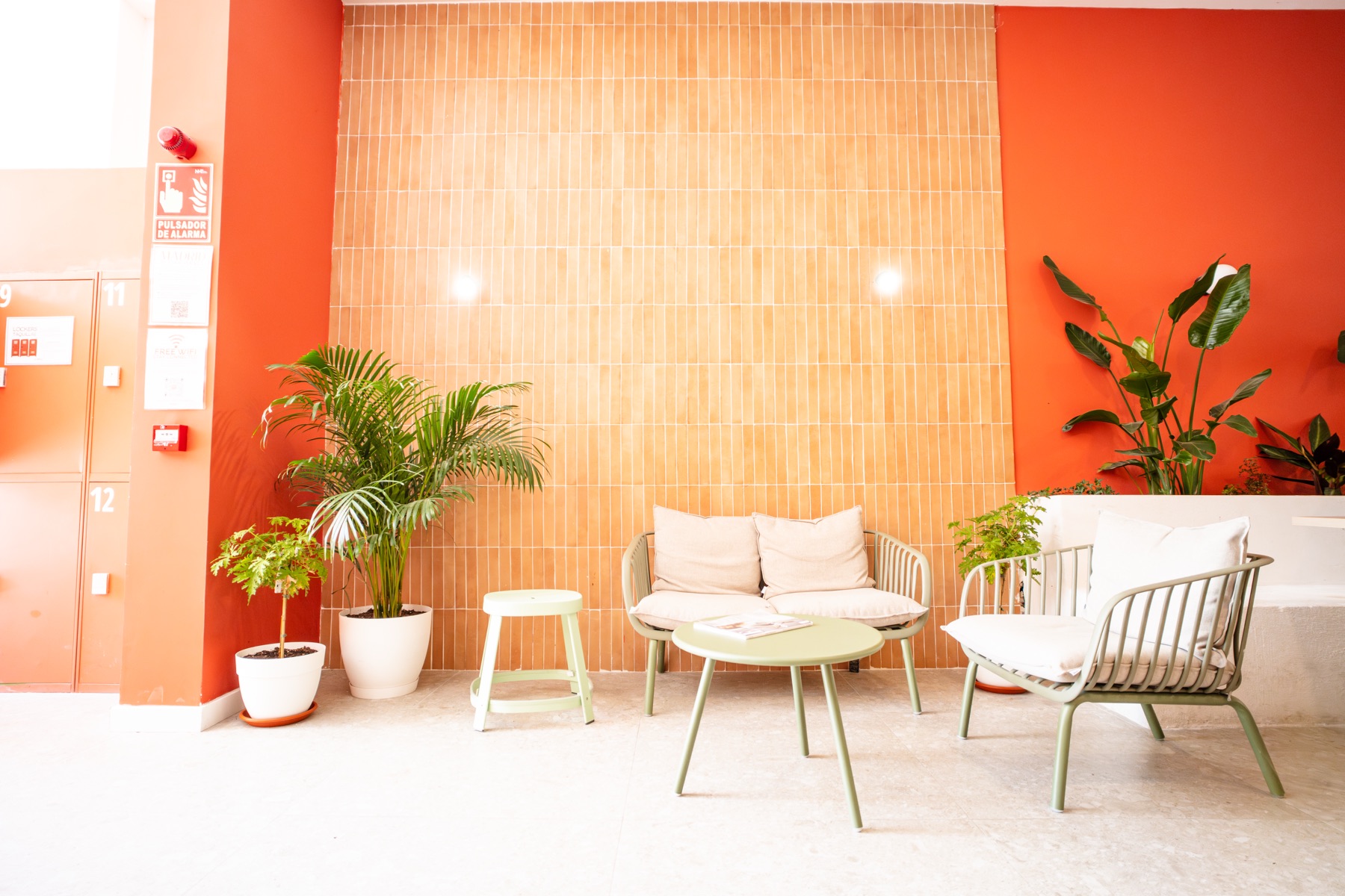 Salón del hostel con pared naranja, plantas y butacas